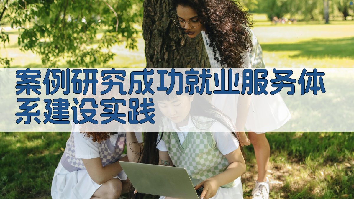 案例研究成功就业服务体系建设实践 图3