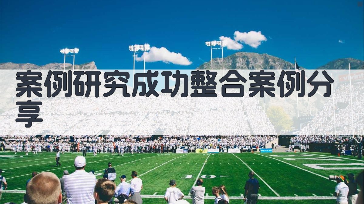 案例研究成功整合案例分享 图3