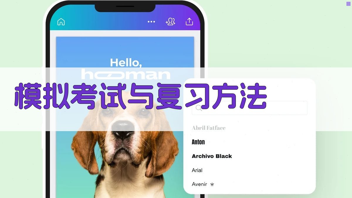 模拟考试与复习方法 图2