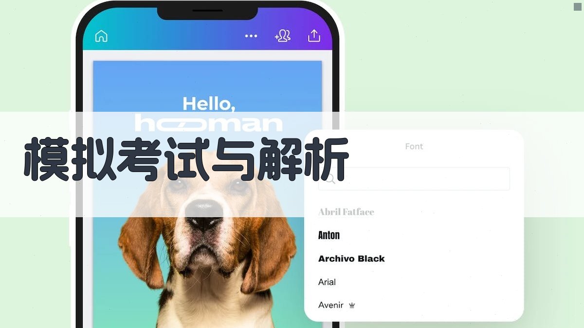 模拟考试与解析 图3