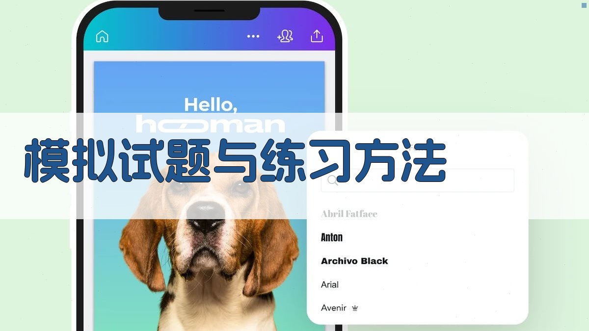 模拟试题与练习方法 图4