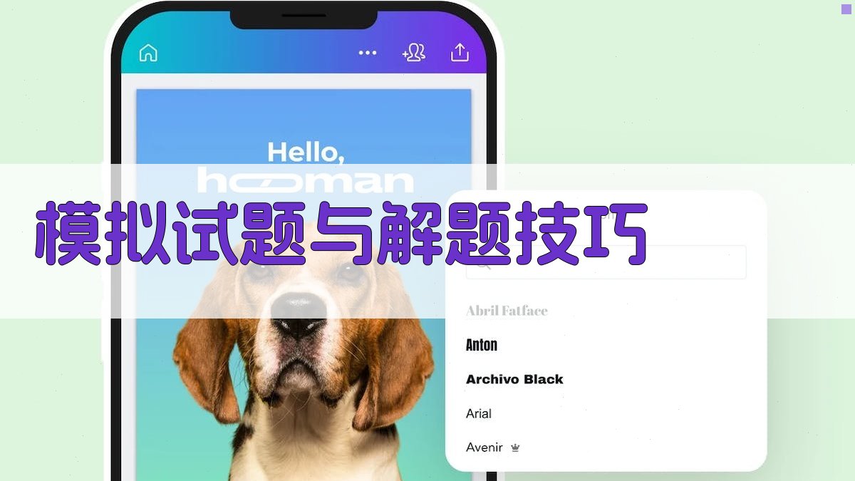 模拟试题与解题技巧 图1
