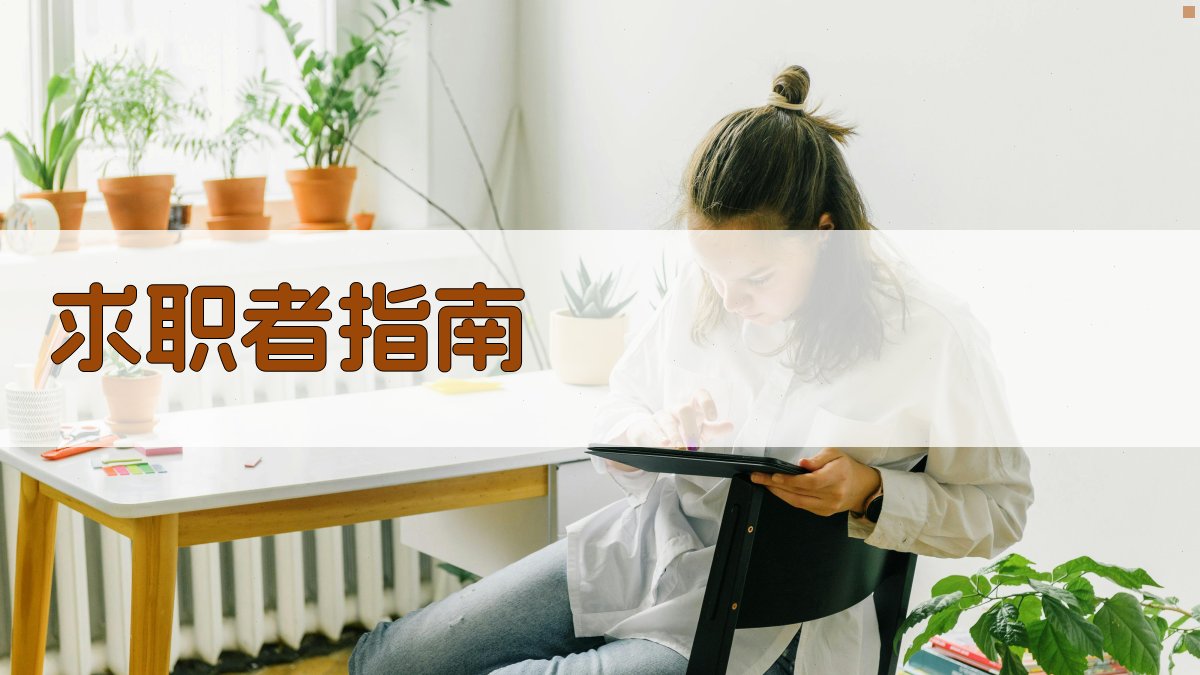 求职者指南 图4