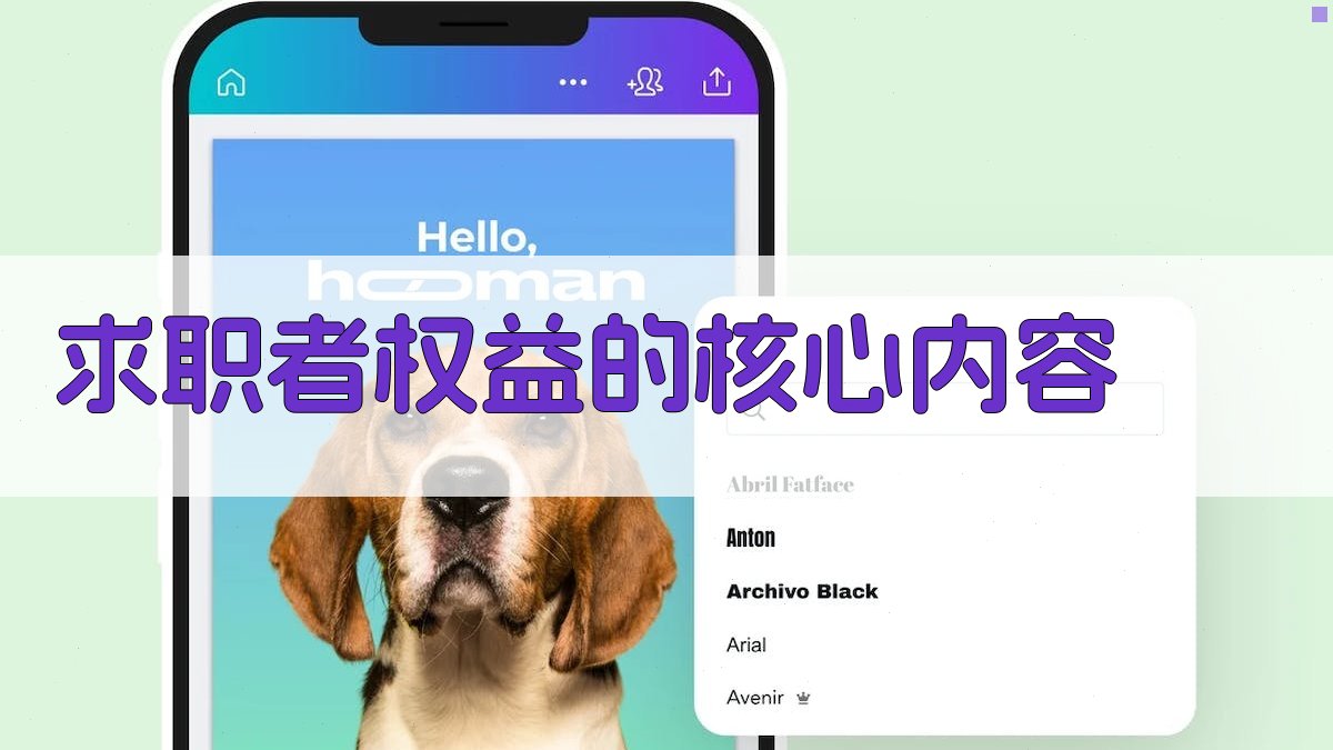 求职者权益的核心内容 图2