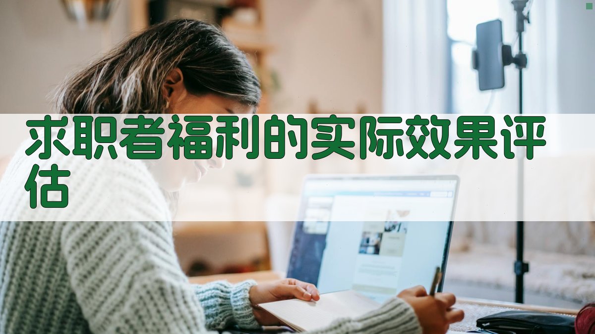 求职者福利的实际效果评估 图2