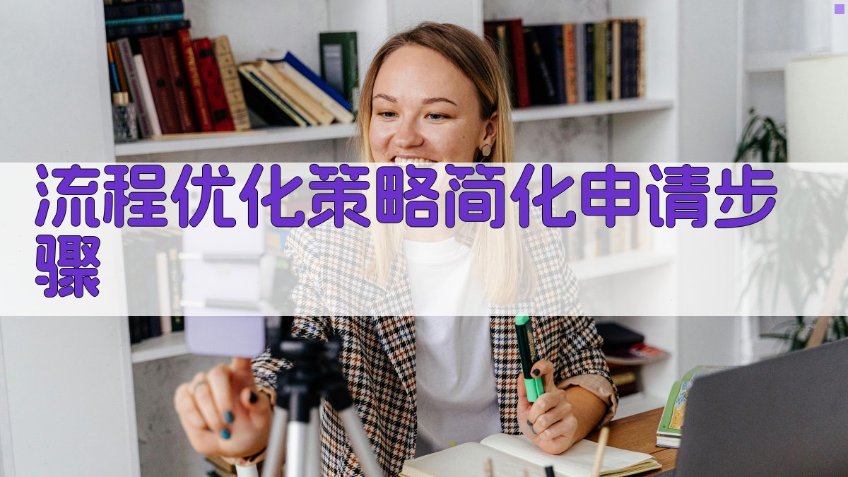 流程优化策略简化申请步骤 图1