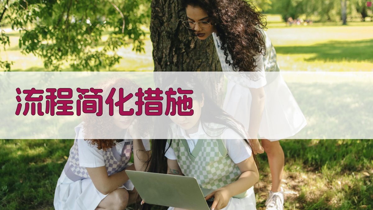 流程简化措施 图1
