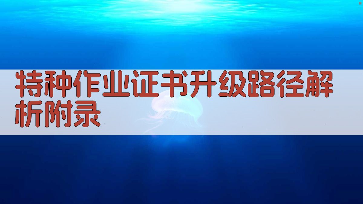 特种作业证书升级路径解析 · 附录 图2