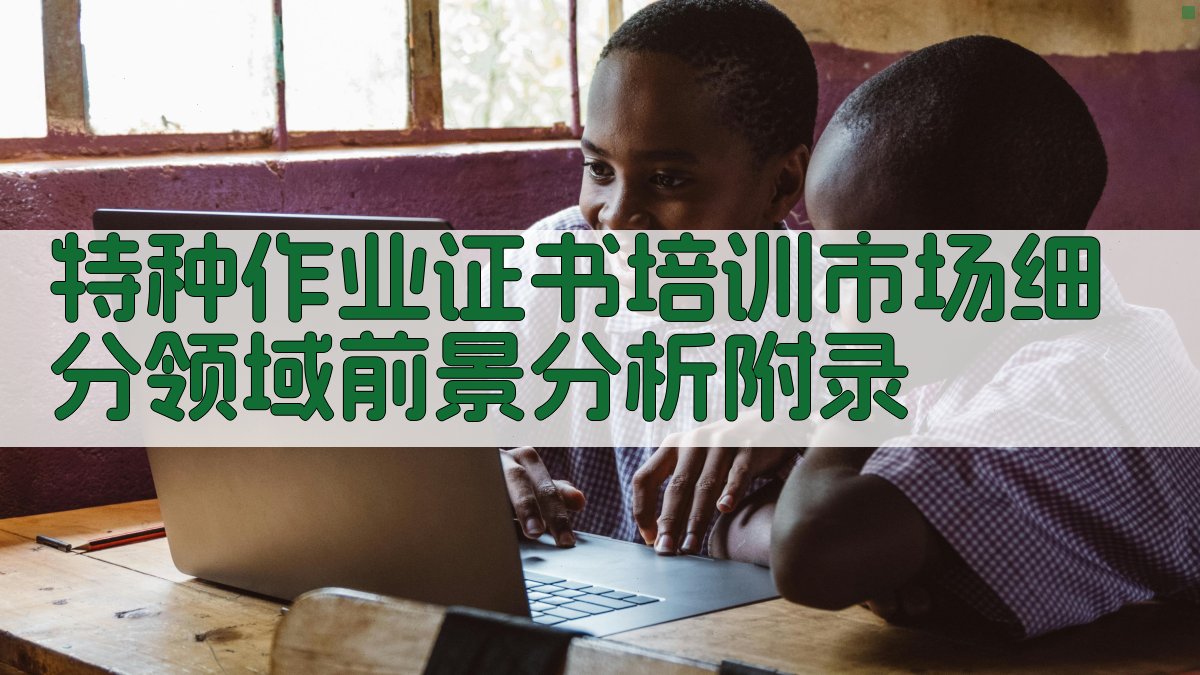 特种作业证书培训市场细分领域前景分析 · 附录 图3