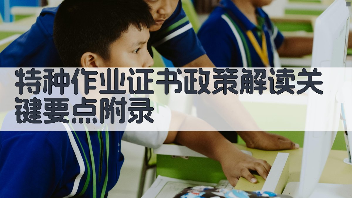 特种作业证书政策解读关键要点 · 附录 图4