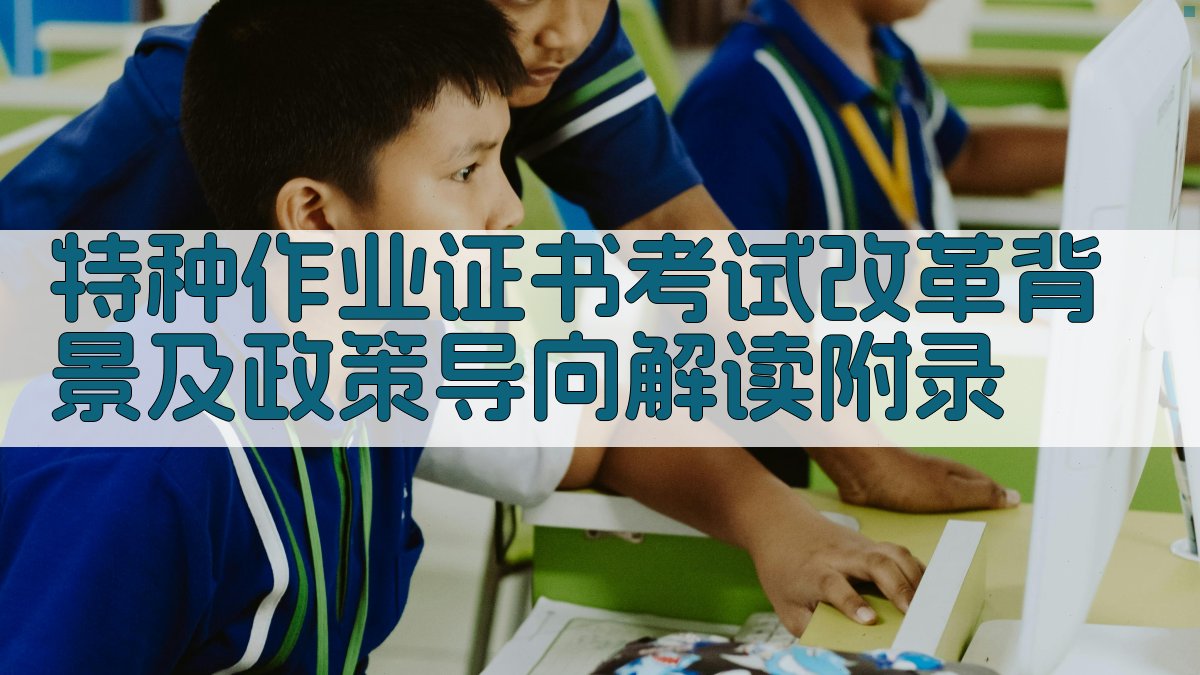 特种作业证书考试改革背景及政策导向解读 · 附录 图5