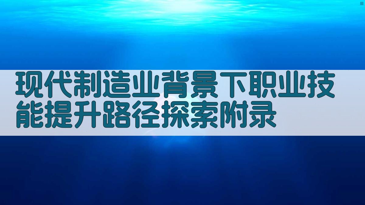 现代制造业背景下职业技能提升路径探索 · 附录 图2
