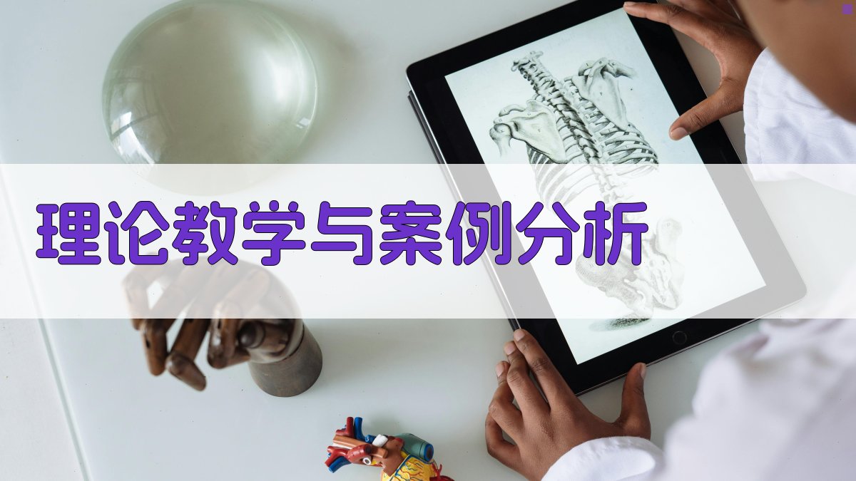 理论教学与案例分析 图2