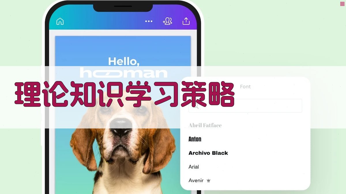 理论知识学习策略 图3