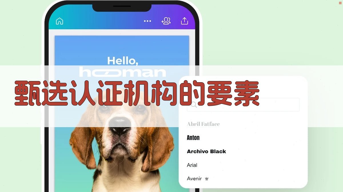 甄选认证机构的要素 图2