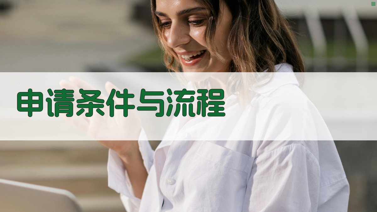 申请条件与流程 图2