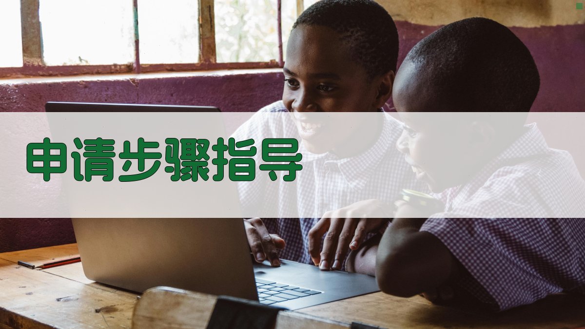 申请步骤指导 图3