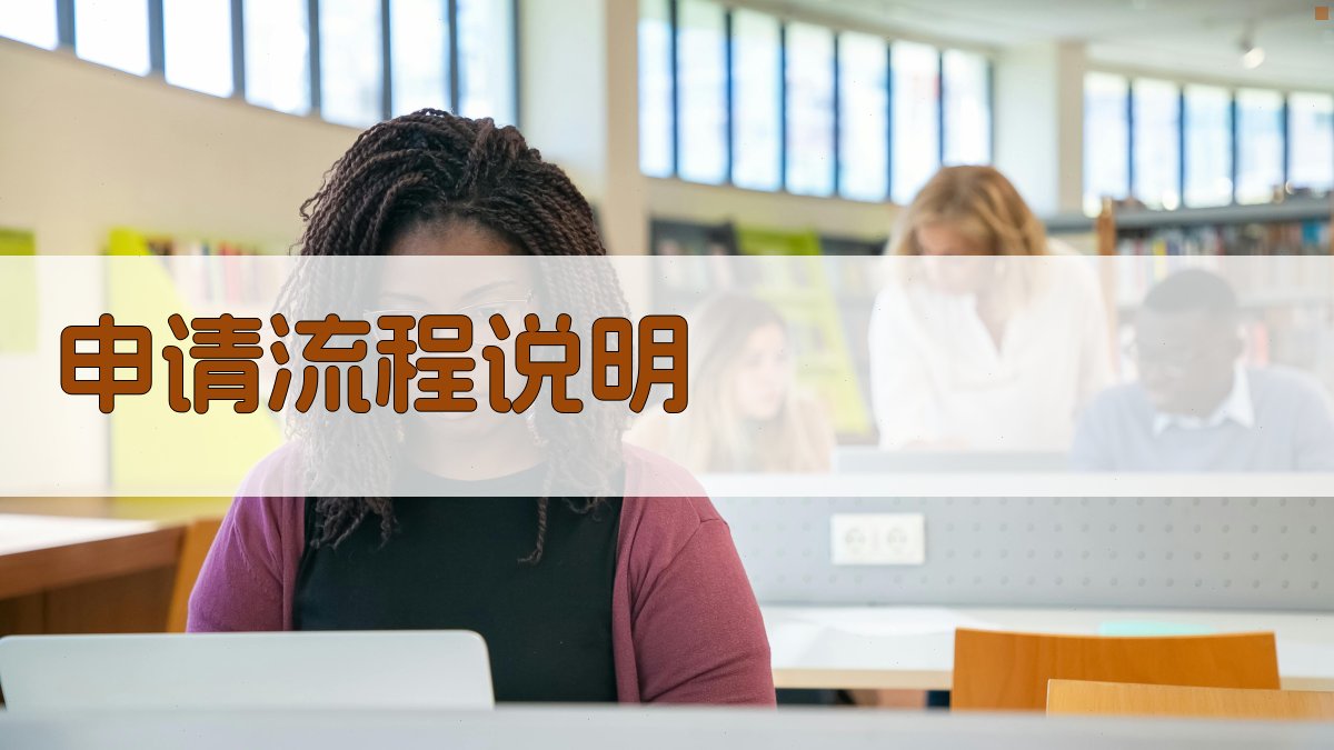 申请流程说明 图3