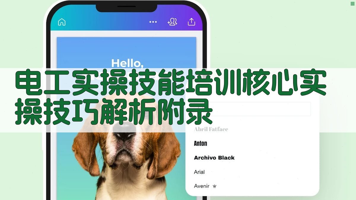 电工实操技能培训核心实操技巧解析 · 附录 图4