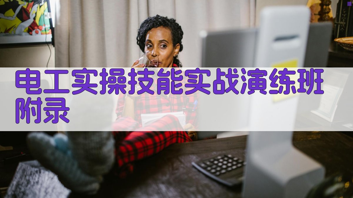 电工实操技能实战演练班 · 附录 图5