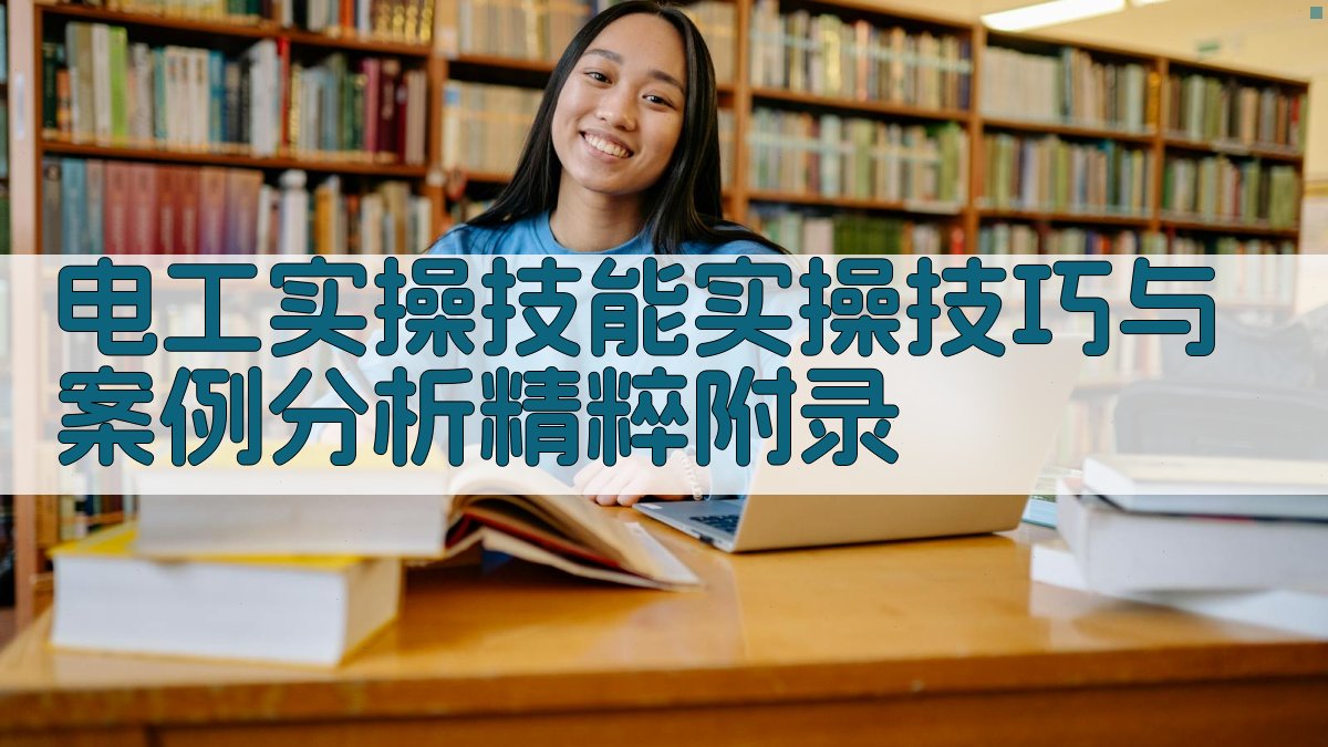 电工实操技能实操技巧与案例分析精粹 · 附录 图4