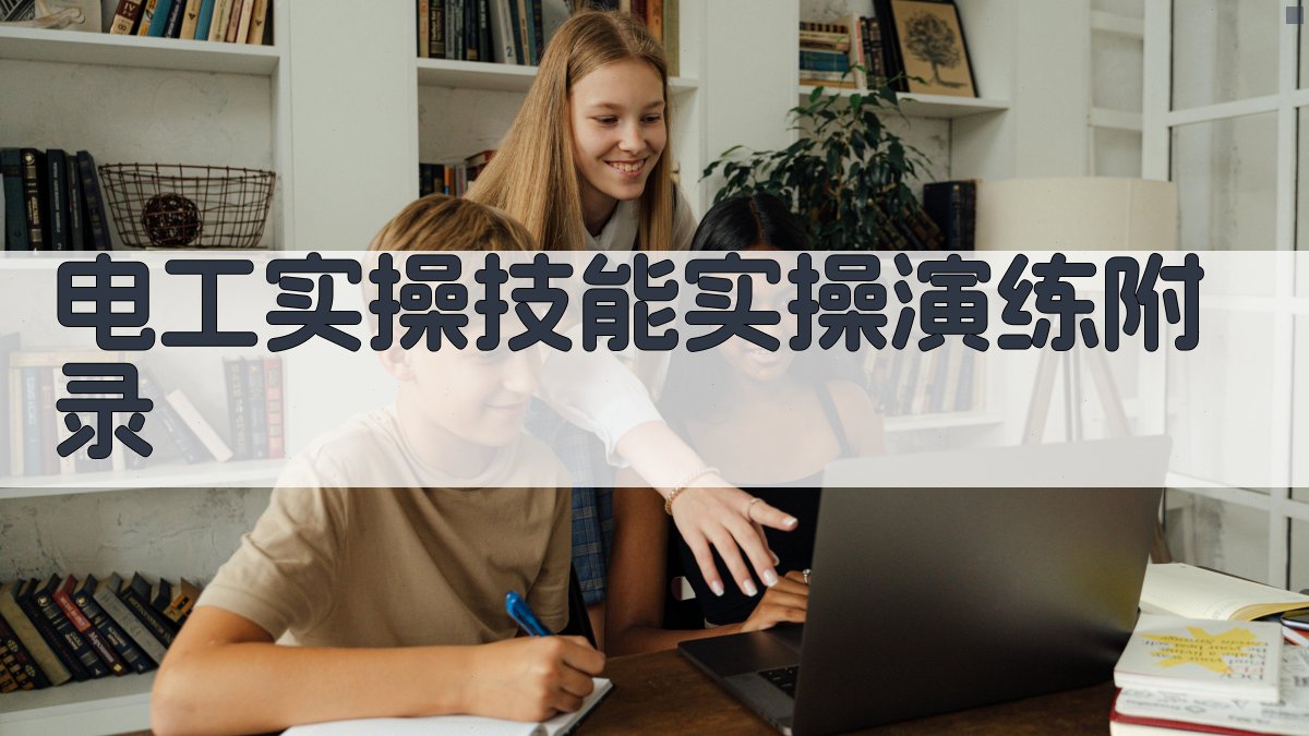 电工实操技能实操演练 · 附录 图3