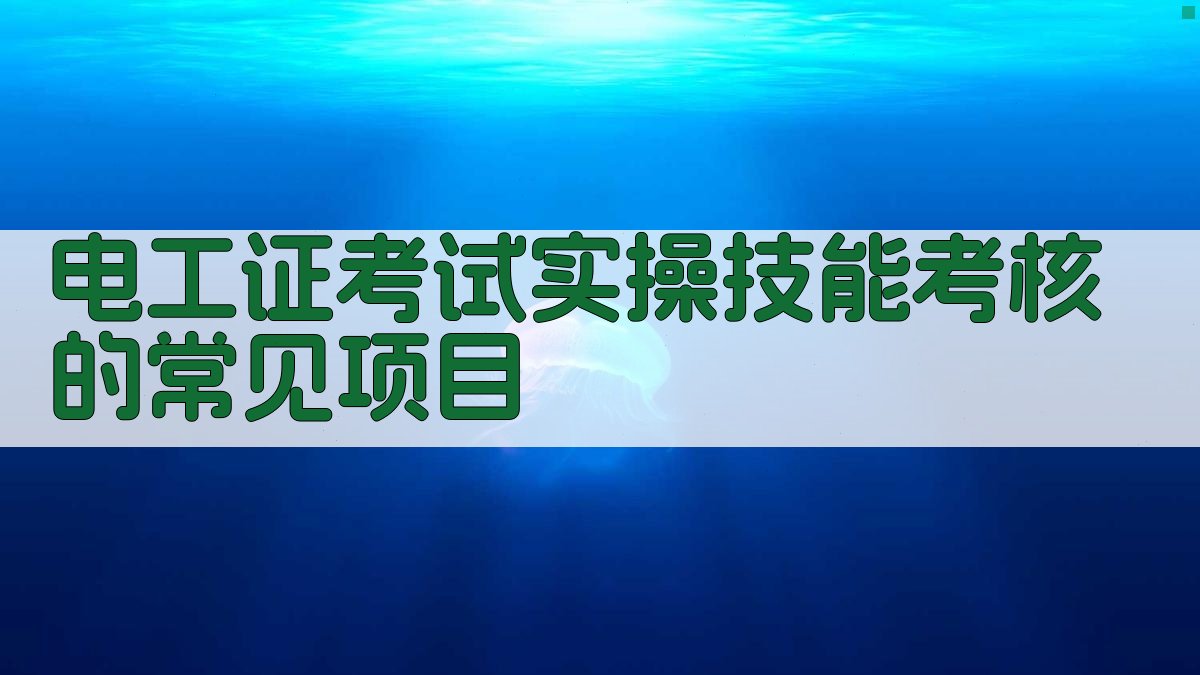 电工证考试实操技能考核的常见项目 图1