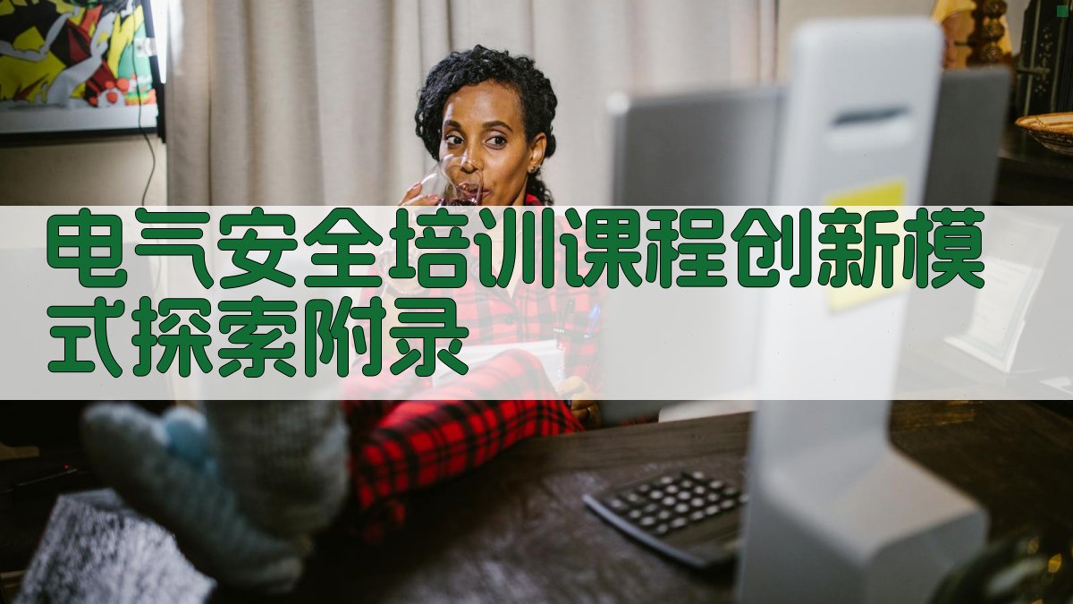 电气安全培训课程创新模式探索 · 附录 图5