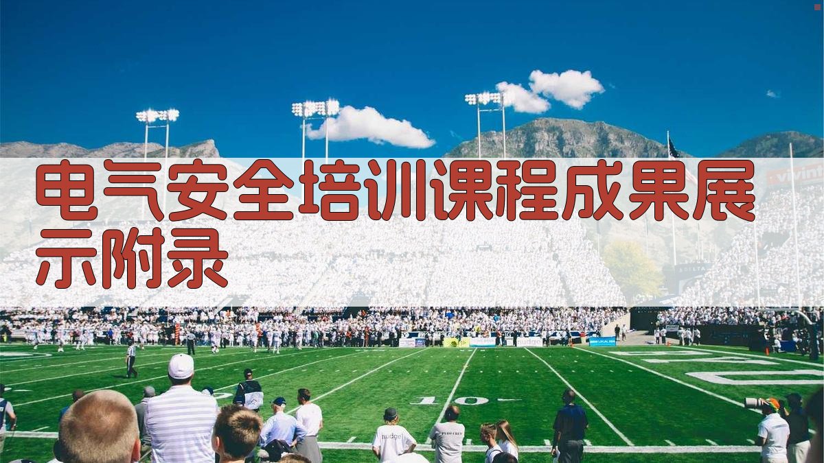 电气安全培训课程成果展示 · 附录 图5