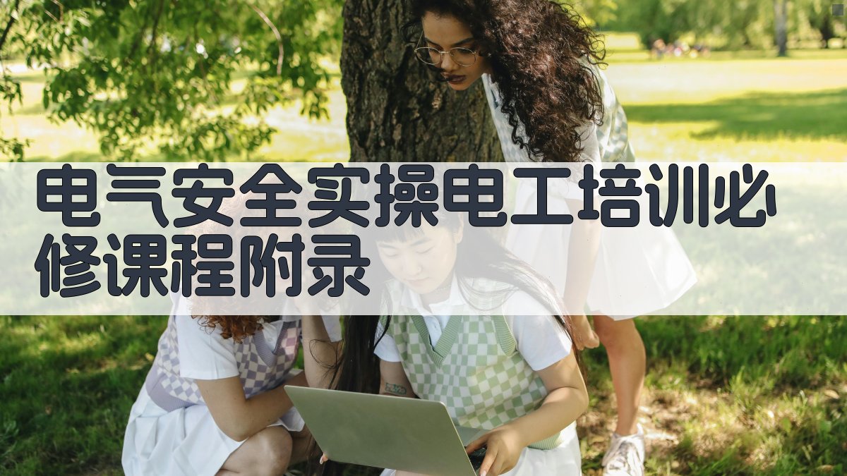 电气安全实操电工培训必修课程 · 附录 图2