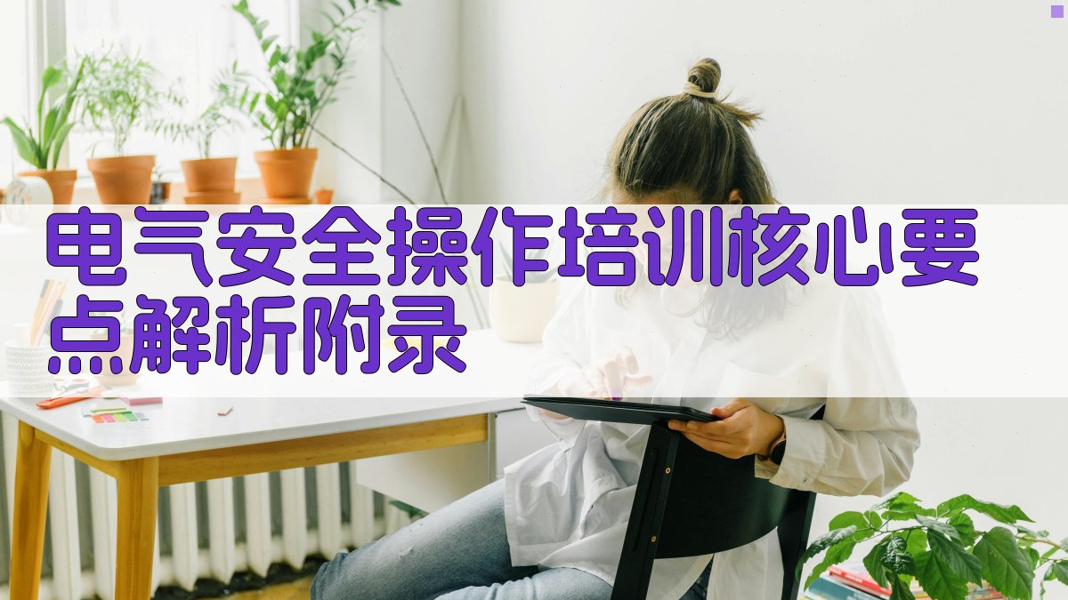 电气安全操作培训核心要点解析 · 附录 图4