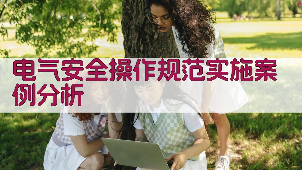 电气安全操作规范实施案例分析 图3