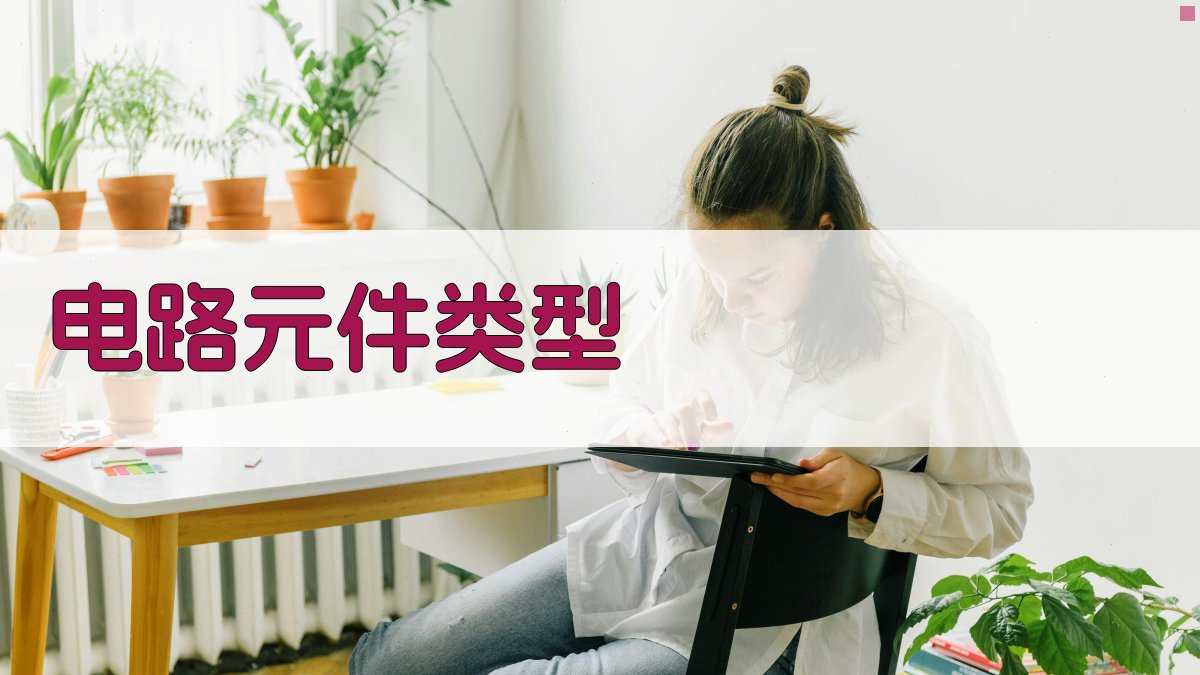 电路元件类型 图1