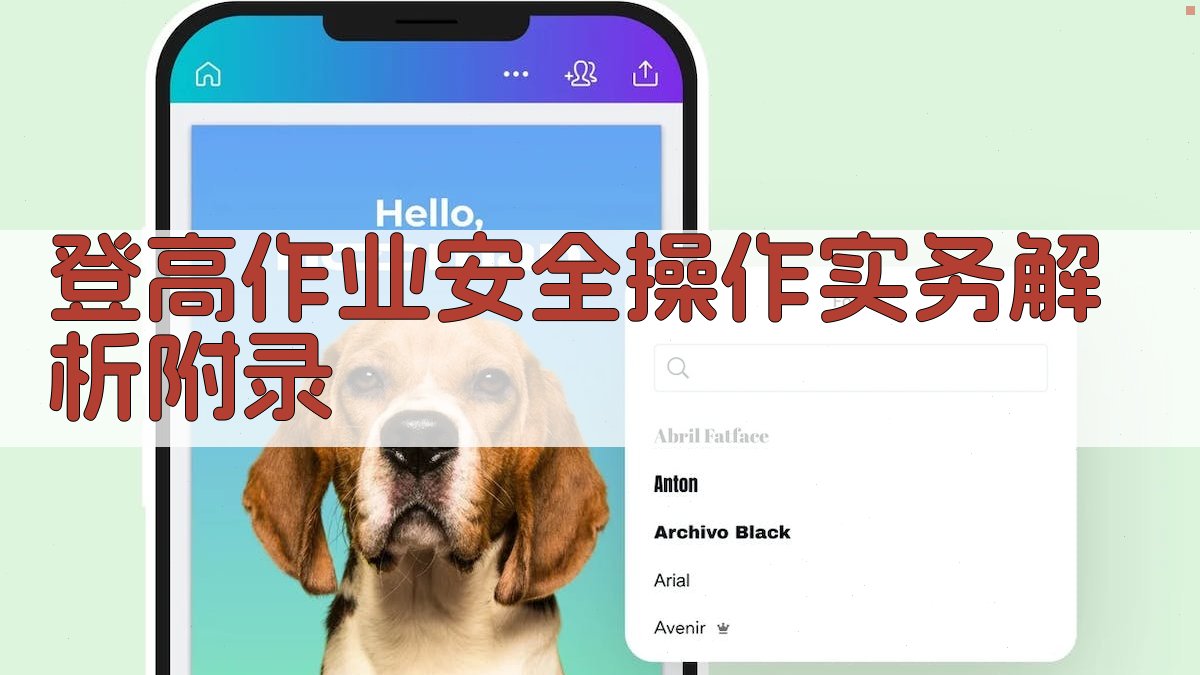 登高作业安全操作实务解析 · 附录 图3