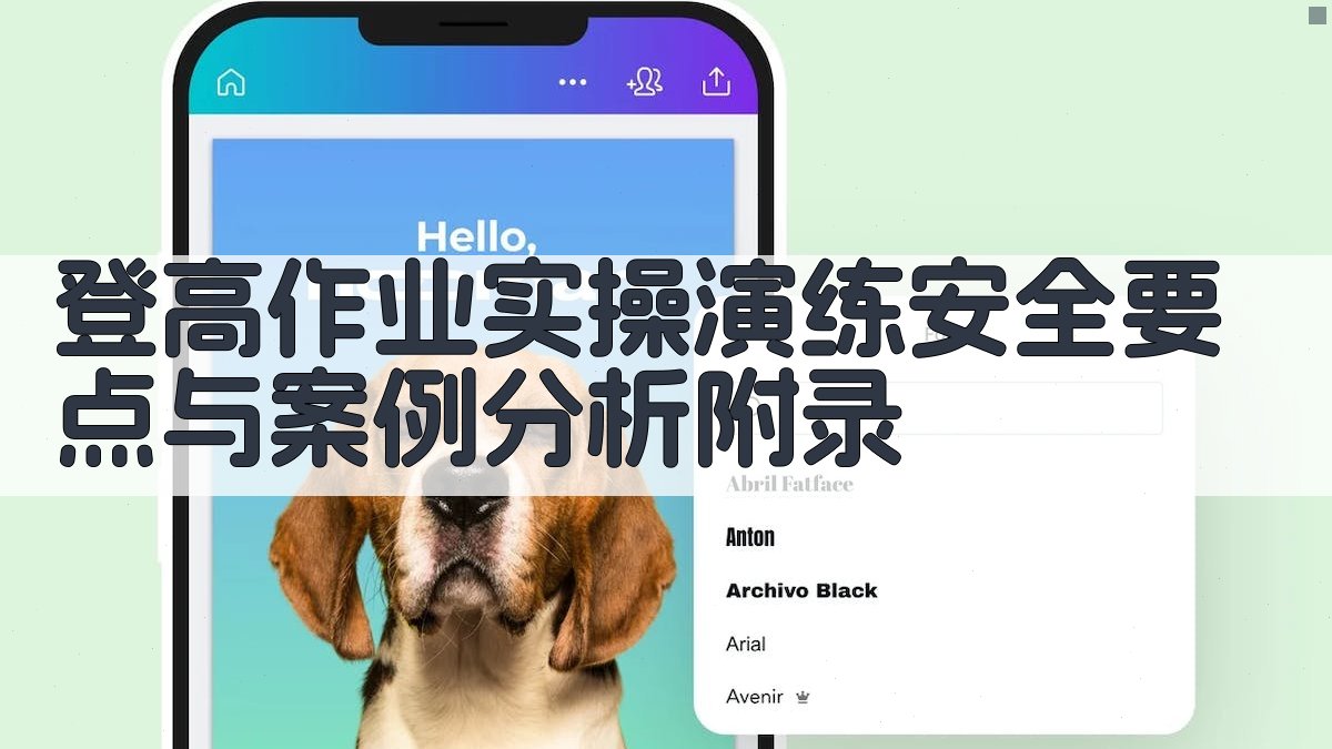 登高作业实操演练安全要点与案例分析 · 附录 图1