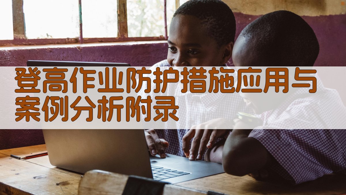 登高作业防护措施应用与案例分析 · 附录 图2