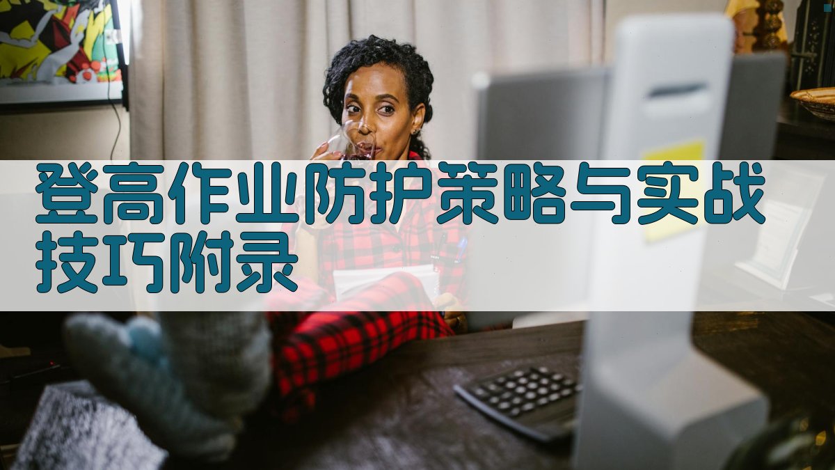 登高作业防护策略与实战技巧 · 附录 图3