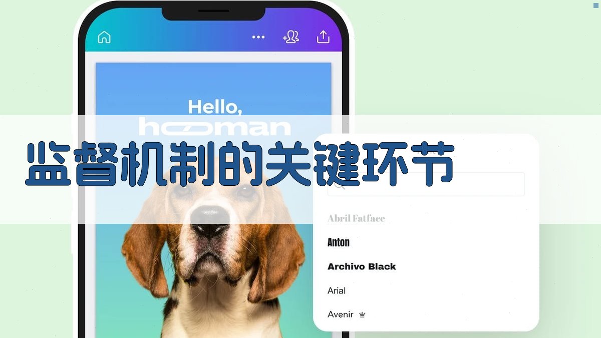 监督机制的关键环节 图3