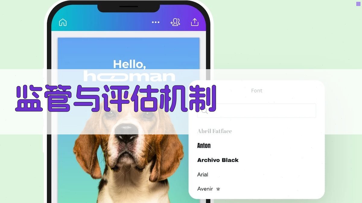监管与评估机制 图4