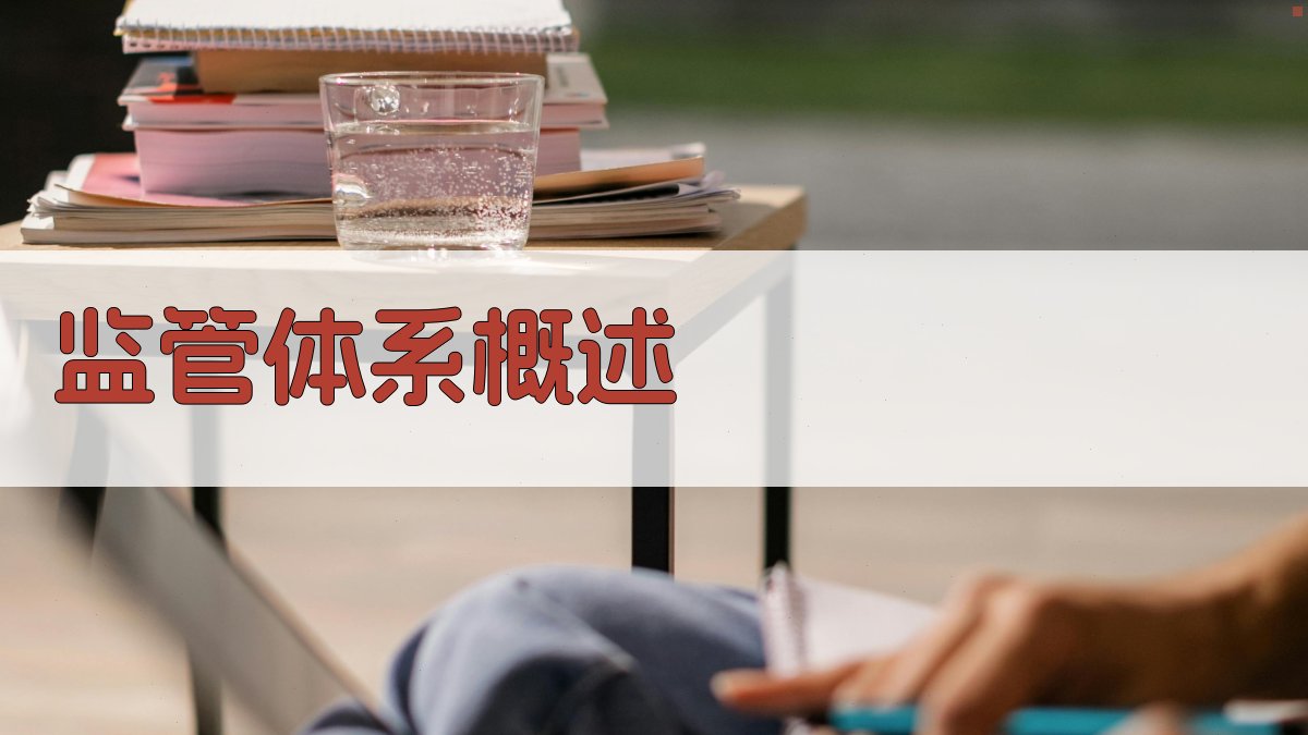 监管体系概述 图1