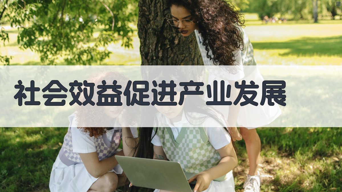 社会效益：促进产业发展 图4