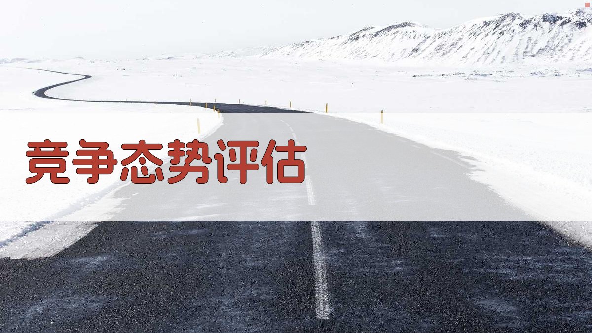 竞争态势评估 图3