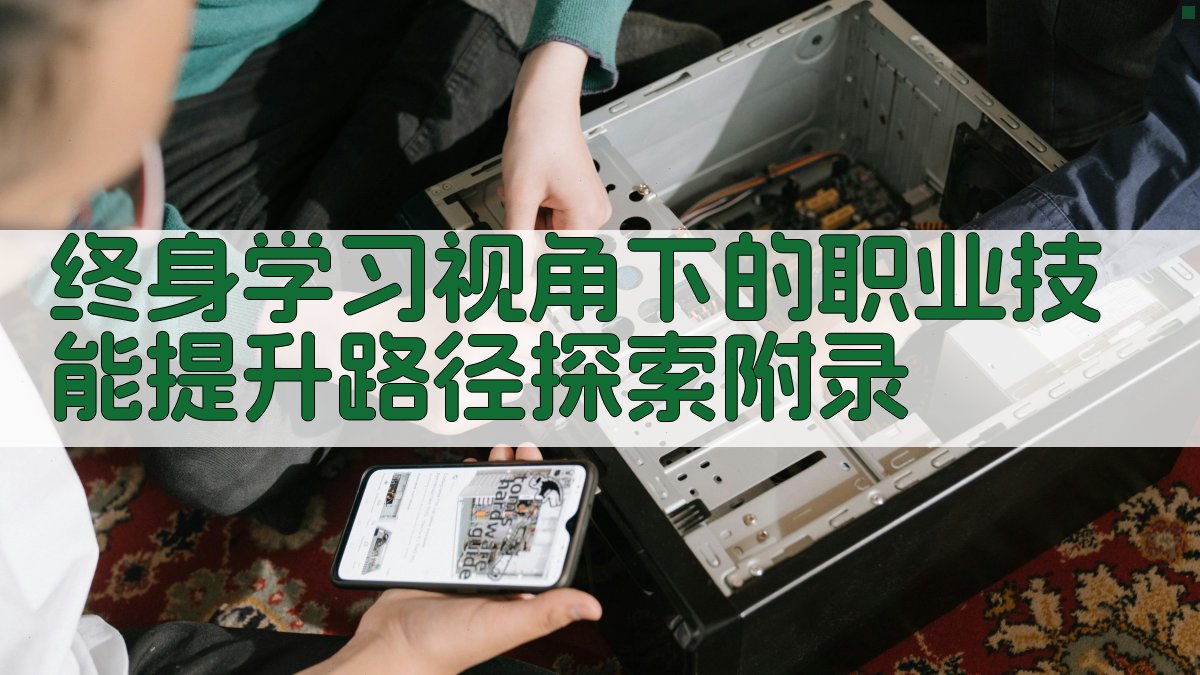 终身学习视角下的职业技能提升路径探索 · 附录 图5