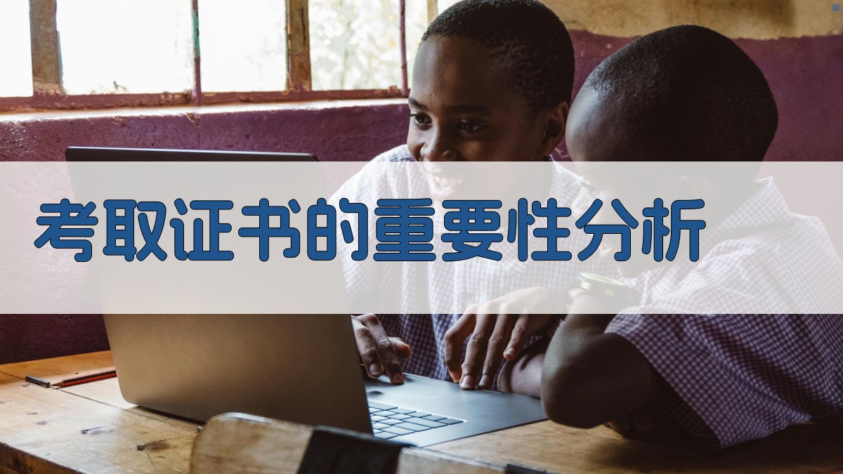 考取证书的重要性分析 图3