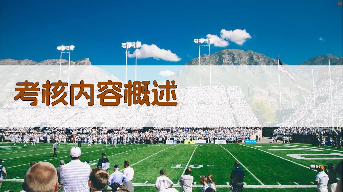 考核内容概述 图1