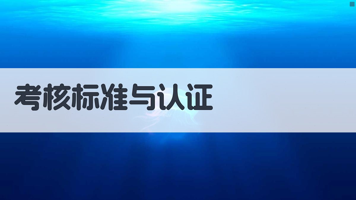 考核标准与认证 图4