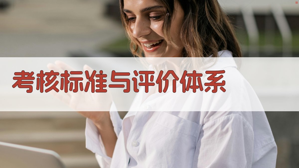 考核标准与评价体系 图3