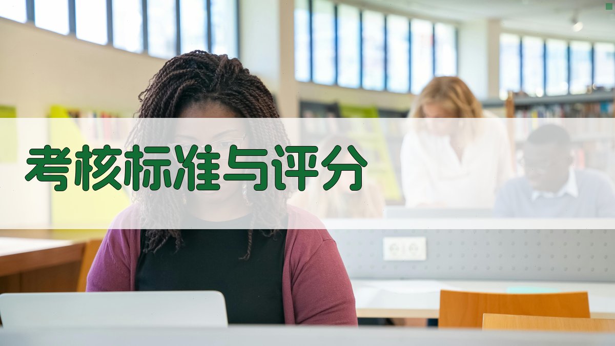 考核标准与评分 图2