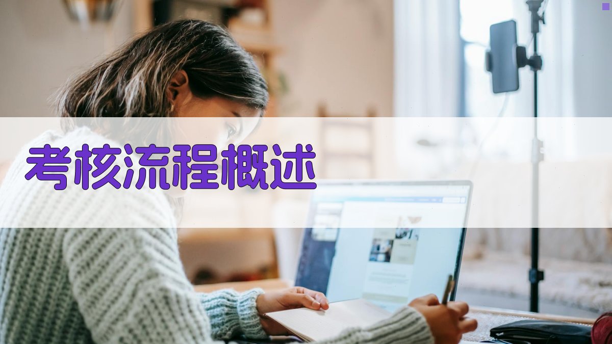 考核流程概述 图1