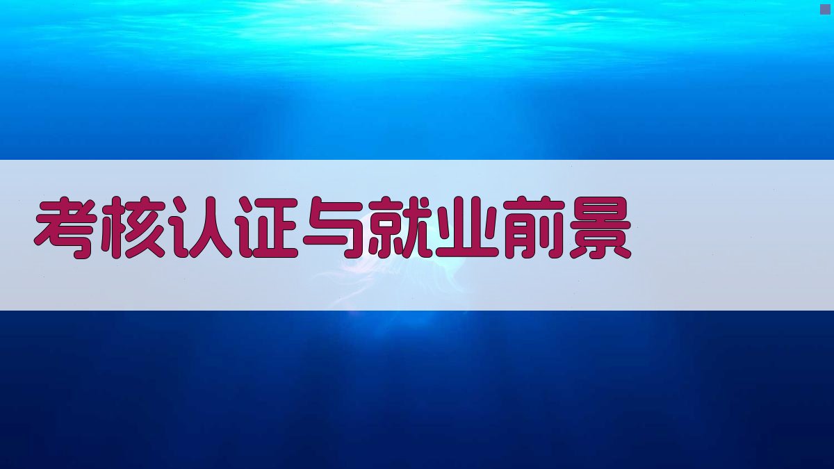 考核认证与就业前景 图3